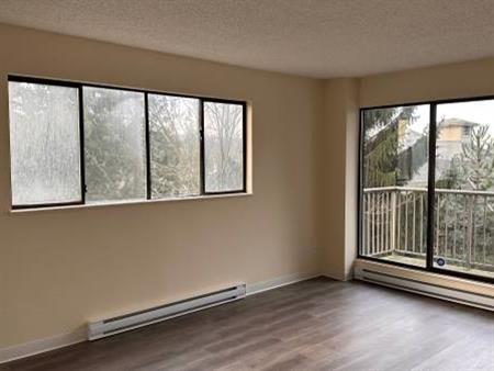 1-Bedroom Fully Renovated close to SkyTrain (Lougheed)