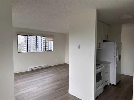 2-Bedroom Fully Renovated close to SkyTrain (Lougheed)