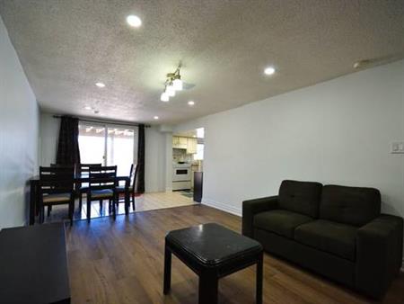 Huge Walk-out Basement for Rent