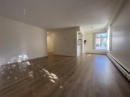 1 bed/1 bath apartment in Kerrisdale