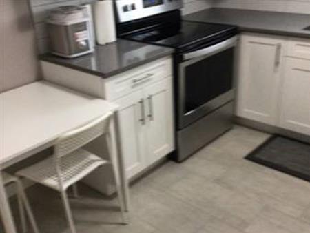 Burnaby North 1 bedroom furnished available now