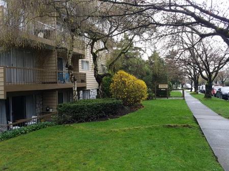 Spacious One Bed near Marpole Loop Available February 1st or later