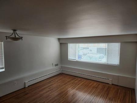 Updated Bachelor Suite in Marpole