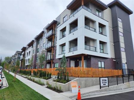 Brand New 2 bed, 2 bath, Ground Floor Corner Apartment in Langley