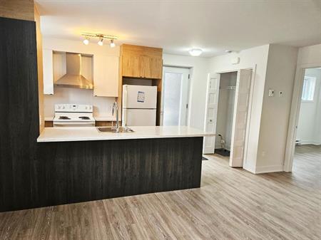 Condo 4 1/2 à louer NEUF Rive-Nord