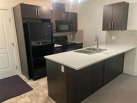 Condominium Apartment For Rent | 207-667 Watt Blvd SW, Edmonton