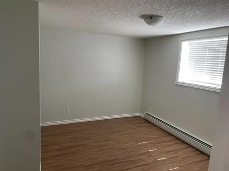 Bright, spacious and quiet area legal 1 bedroom plus den basement suite | 6043 4 Street Northeast, Calgary