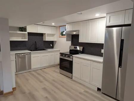 Newly Built  2 bedroom legal suite .High end finishes | 13 Ave NE, Calgary