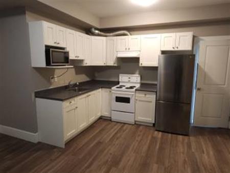 Central Coquitlam 2 Bed 2 Bath 945sf Basement suite