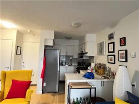 Beautiful bright and cozy 1 bedroom in English Bay