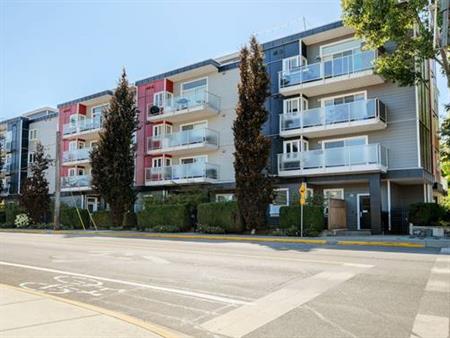 316-1315 Esquimalt Rd - Available Immediately