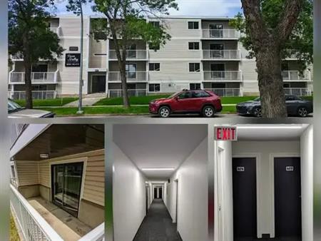 Highly Secure, Renovated Apartment Suite | 8630 106 Avenue Northwest, Edmonton