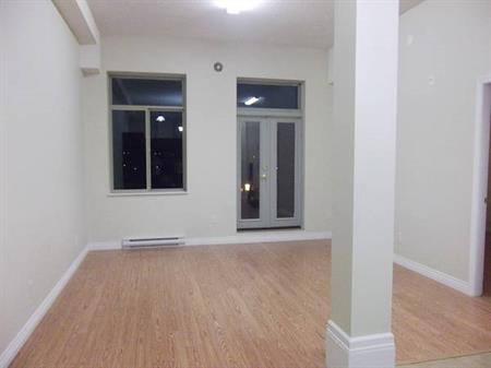 1 bdr apartment plus open den