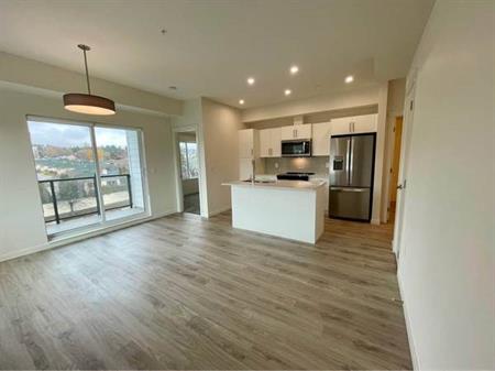 2 bed 2 bath condo - bright