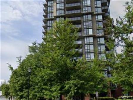 Great view! 1 bedroom new west Near Douglas college SFU