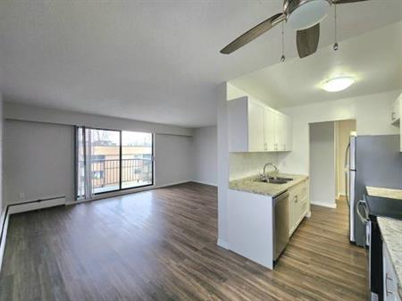 2 Bedroom + 1 Bathroom - Fully Renovated Corner unit