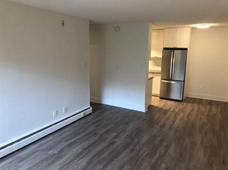 Pet-Friendly Suites Right by Cedar Hill Golf Course! (Cook St)