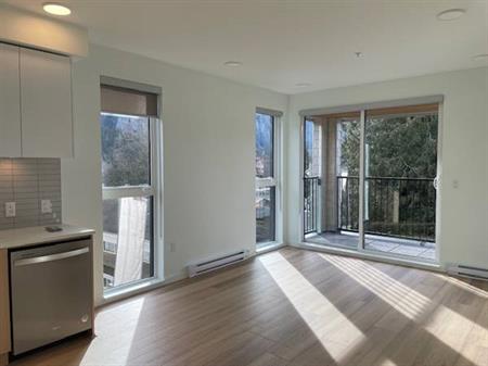 2-Bedroom, 2-Bathroom condo + Den & Balcony with views of The Chief