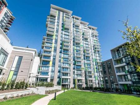 UBC Campus Large 3 Bedroom Condo for Rent