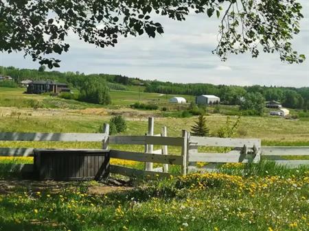 Walk-out Basement suite on Acreage, 20 mins to downtown | Calgary