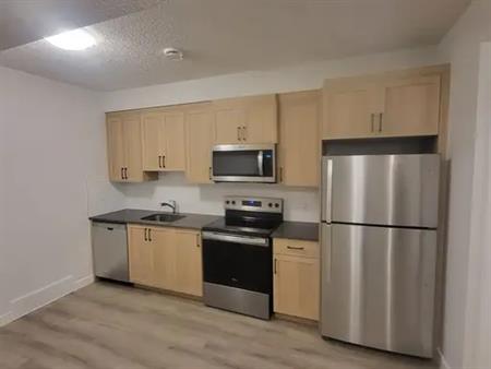 Brand new 2 bedroom legal basement suite. | Wolf Willow Blvd SE, Calgary