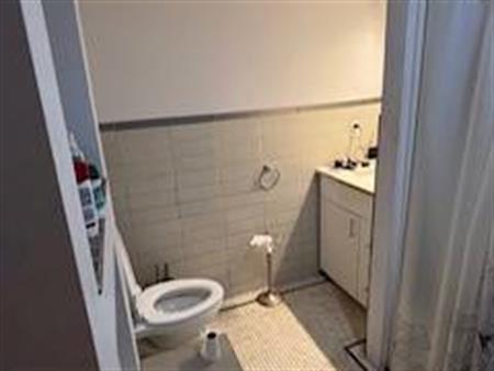 Ground level 1 Bedroom + Den Basement rental