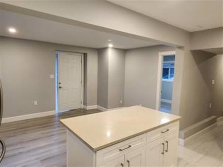 1 bedroom Basement Suit