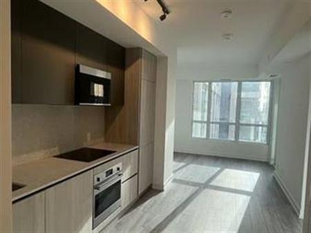 1 Bedroom, 1 Bathroom - Peter & Adelaide Condos