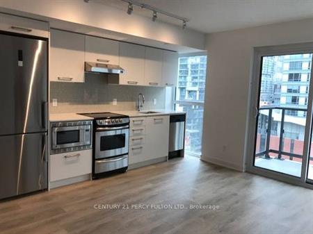 1 Bedroom, 1 Bathroom - Peter Street Condo