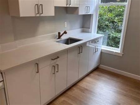 Large 1 Bedroom Just Renovated New West