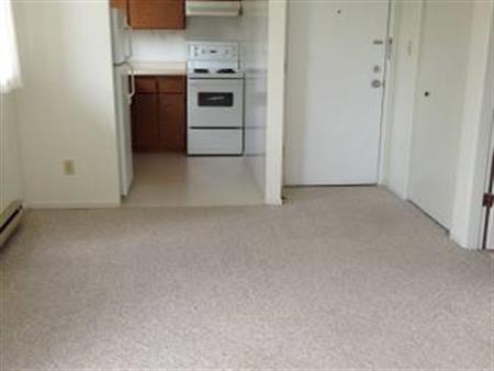 Bachelor Apartment for Rent Near Downtown Victoria