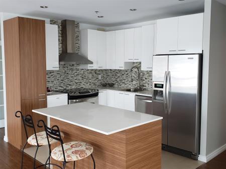 Très Grand Condo 5 1/2 à Brossard, 1630p