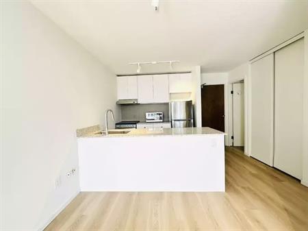 Newly Reno 1 Bed 1 Bath Apartment @ Downtown Vancouver for Rent! | 950 Drake Street, Vancouver