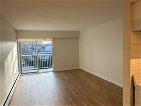 Fully Renovated 1 Bedroom