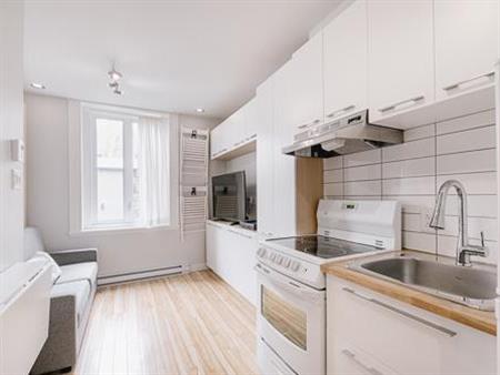 Loft entièrement meublé en plein coeur du quartier St-Jean-Baptiste, dans un immeuble ayant plusieurs inclusions. DISPONIBLE 