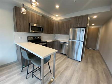 Furnished 1 bed/1 bath at Uni-K Town (#325)