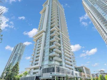 $1,700 / 1br - 550ft2 - Luxurious High-Rise One Bedroom One Bath