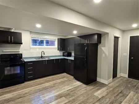 Large 1Bed-1Bath Lakeview Suite