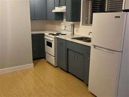 Spacious renovated 1BR/1BA suite for rent