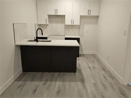 2 Beautiful New 1 bedroom Basement for Rent in NW Edmonton area | 3108 Magpie Way Northwest, Edmonton