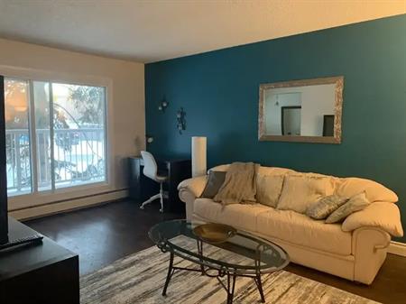 Beautifully furnished two-bedroom apartment in Riverbend. | 212 - 5730 Riverbend Road Northwest, Edmonton