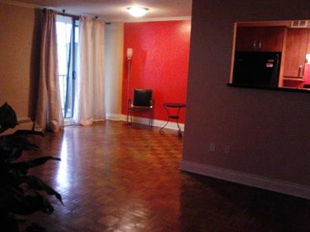 Spacious 2-bd condo apartment for rent