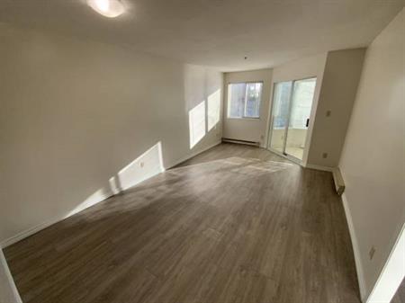 Renovated 1-Bedroom Apartment on Broadway in Vancouver