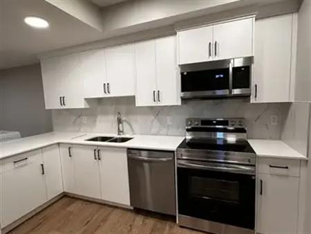 Newly built legal suite. 2 bedroom basement .separate entrance great location | Calgary