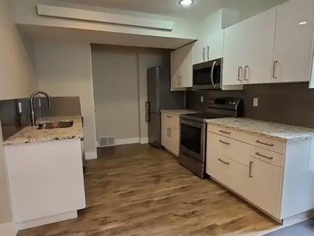 NEWLY RENOVATED Inner City basement suite available for rent | Calgary