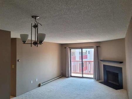 2 bedroom 1 Bath Condo for Rent