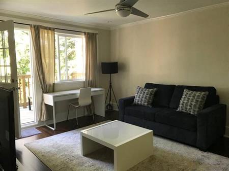 Furnished 1 Bed in Mount Pleasant