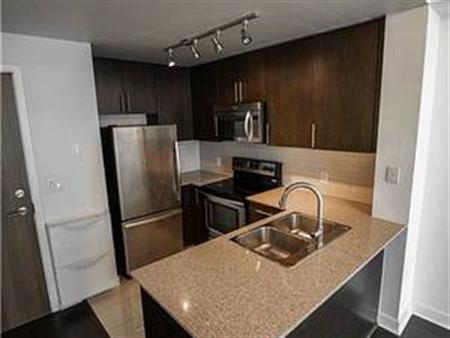 Burnamthorpe /Grand Park Bright +Luxurious 1Bdrm Open Layout Granite