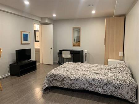 Furnished private bachelor suite. All included. Wi-Fi,laundry,Skytrain