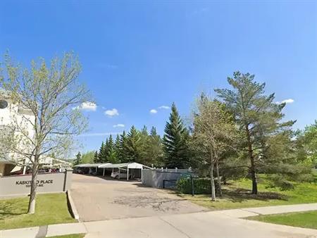 Spacious, fully-renovated, south-facing 1315sq ft, 2bdrm + 2bath, util included | 301 - 11020 19ave NW, Edmonton